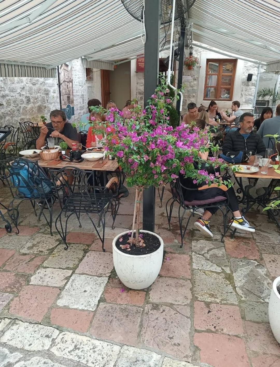 Little Bay Apartments Kotor Buitenkant foto